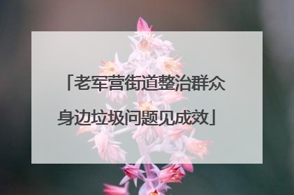 老军营街道整治群众身边垃圾问题见成效