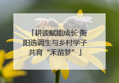 耕读赋能成长 衡阳选调生与乡村学子共育“禾苗梦”
