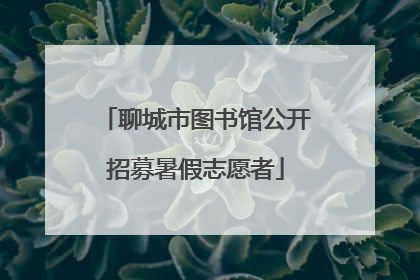 聊城市图书馆公开招募暑假志愿者
