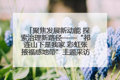 聚焦发展新动能 探索治理新路径——“祁连山下是我家 彩虹张掖福感地带”主题采访活动走进山丹