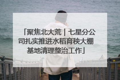 聚焦北大荒｜七星分公司扎实推进水稻育秧大棚基地清理整治工作