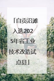 自贡沿滩入选2025年省工业技术改造试点县