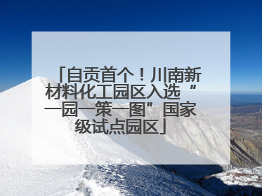 自贡首个！川南新材料化工园区入选“一园一策一图”国家级试点园区