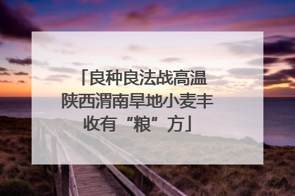 良种良法战高温 陕西渭南旱地小麦丰收有“粮”方