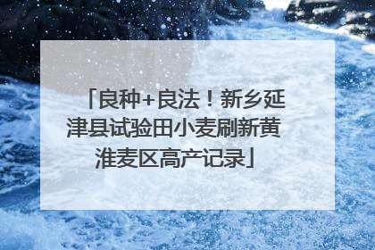 良种+良法！新乡延津县试验田小麦刷新黄淮麦区高产记录