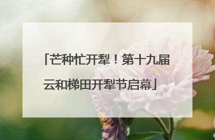 芒种忙开犁！第十九届云和梯田开犁节启幕