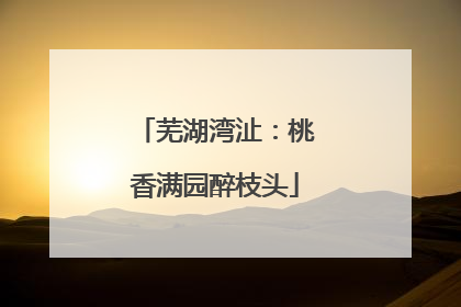 芜湖湾沚：桃香满园醉枝头