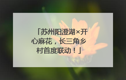 苏州阳澄湖×开心麻花，长三角乡村首度联动！