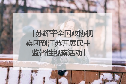 苏辉率全国政协视察团到江苏开展民主监督性视察活动