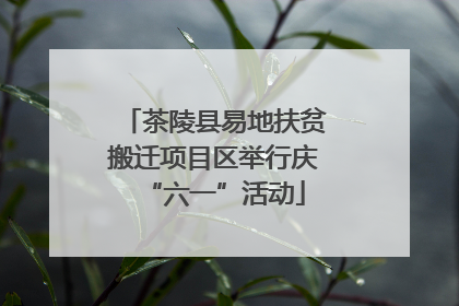 茶陵县易地扶贫搬迁项目区举行庆“六一”活动