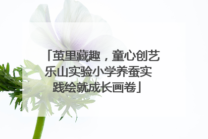 茧里藏趣，童心创艺 乐山实验小学养蚕实践绘就成长画卷