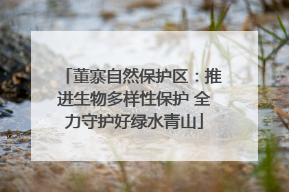 董寨自然保护区：推进生物多样性保护 全力守护好绿水青山