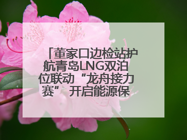 董家口边检站护航青岛LNG双泊位联动“龙舟接力赛” 开启能源保供新篇章