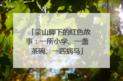 蒙山脚下的红色故事：一所小学、一盏茶碗、一匹病马