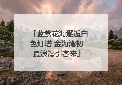 蓝紫花海邂逅白色灯塔 金海湾初夏浪漫引客来