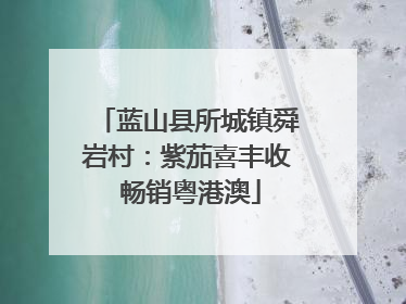 蓝山县所城镇舜岩村：紫茄喜丰收 畅销粤港澳