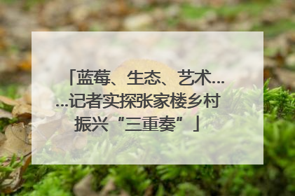 蓝莓、生态、艺术……记者实探张家楼乡村振兴“三重奏”
