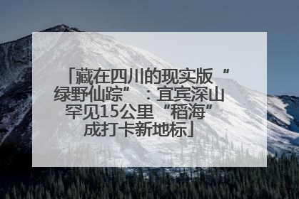 藏在四川的现实版“绿野仙踪”：宜宾深山罕见15公里“稻海”成打卡新地标