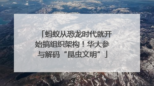 蚂蚁从恐龙时代就开始搞组织架构！华大参与解码“昆虫文明”