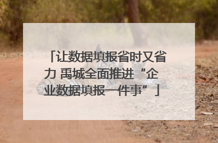 让数据填报省时又省力 禹城全面推进“企业数据填报一件事”