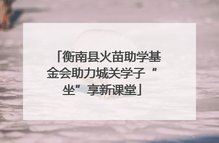 衡南县火苗助学基金会助力城关学子“坐”享新课堂