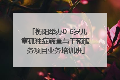 衡阳举办0-6岁儿童孤独症筛查与干预服务项目业务培训班