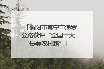 衡阳市常宁市渔罗公路获评“全国十大最美农村路”