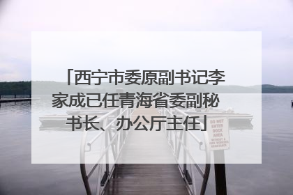 西宁市委原副书记李家成已任青海省委副秘书长、办公厅主任