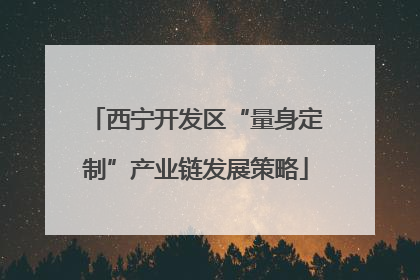 西宁开发区“量身定制”产业链发展策略
