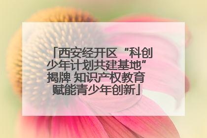 西安经开区“科创少年计划共建基地”揭牌 知识产权教育赋能青少年创新