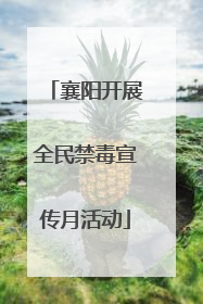 襄阳开展全民禁毒宣传月活动