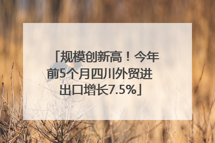 规模创新高！今年前5个月四川外贸进出口增长7.5%