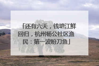 还有六天，钱塘江鲜回归，杭州杨公社区渔民：第一波盼刀鱼