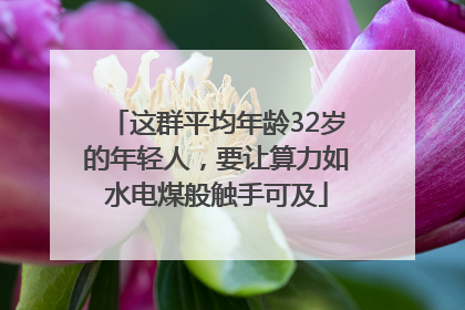 这群平均年龄32岁的年轻人，要让算力如水电煤般触手可及