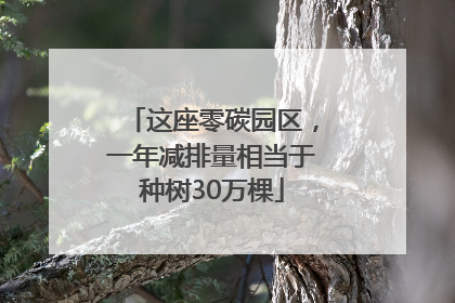 这座零碳园区，一年减排量相当于种树30万棵