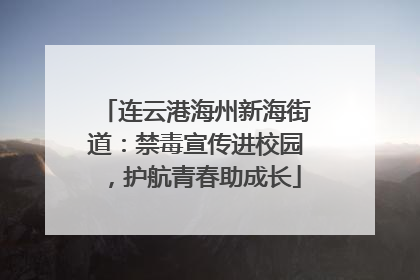 连云港海州新海街道：禁毒宣传进校园，护航青春助成长