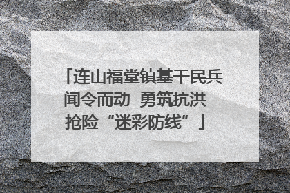 连山福堂镇基干民兵闻令而动  勇筑抗洪抢险“迷彩防线”