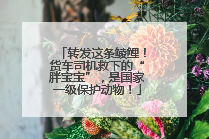 转发这条鲮鲤！货车司机救下的“胖宝宝”，是国家一级保护动物！