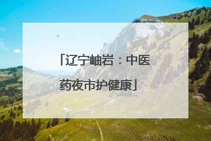 辽宁岫岩：中医药夜市护健康