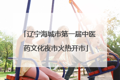 辽宁海城市第一届中医药文化夜市火热开市