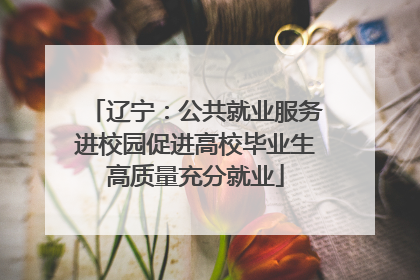 辽宁：公共就业服务进校园促进高校毕业生高质量充分就业