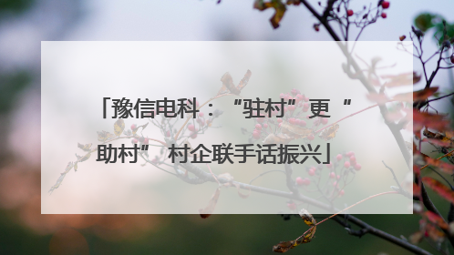 豫信电科：“驻村”更“助村” 村企联手话振兴