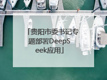 贵阳市委书记专题部署DeepSeek应用