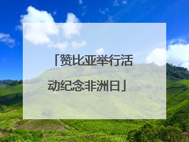 赞比亚举行活动纪念非洲日