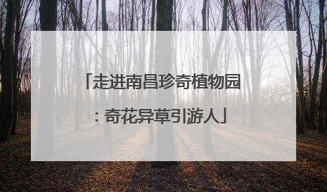 走进南昌珍奇植物园：奇花异草引游人