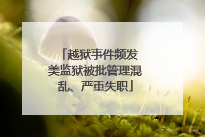 越狱事件频发 美监狱被批管理混乱、严重失职