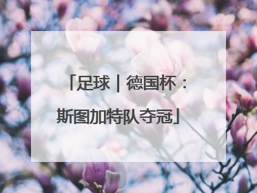 足球｜德国杯：斯图加特队夺冠