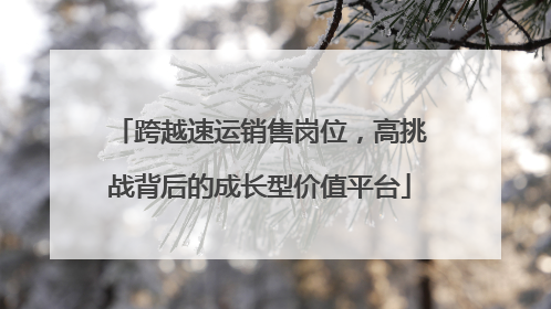 跨越速运销售岗位，高挑战背后的成长型价值平台