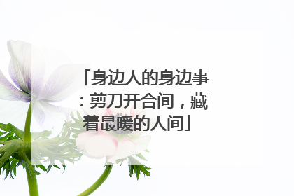 身边人的身边事：剪刀开合间，藏着最暖的人间