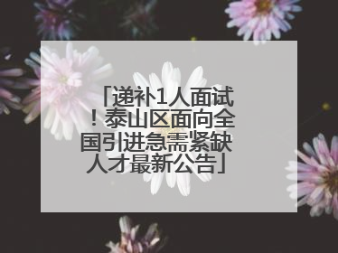 递补1人面试！泰山区面向全国引进急需紧缺人才最新公告